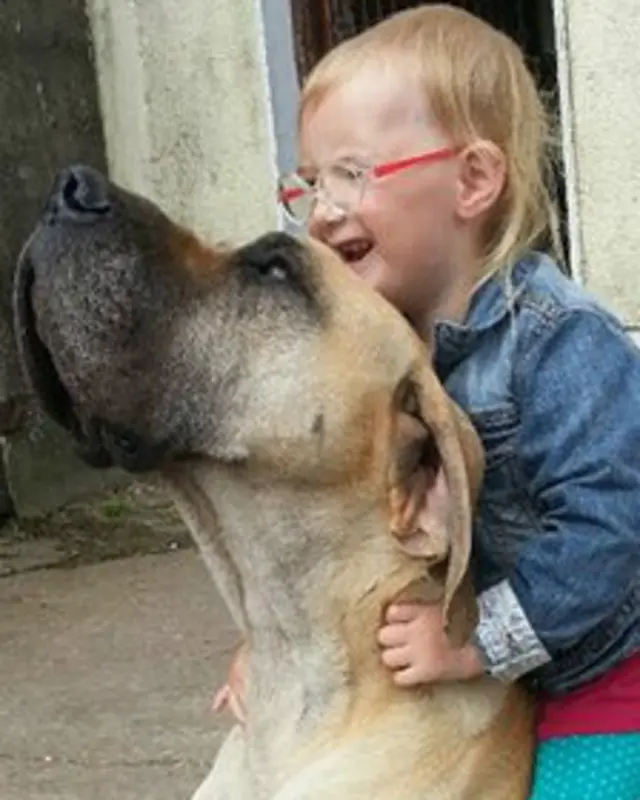 मिर्गी की चेतावनी देने वाला कु्त्ता