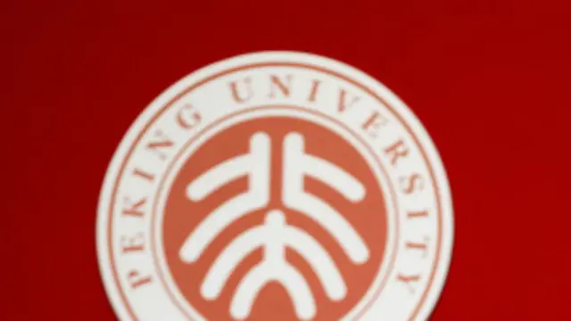 Universitas Peking