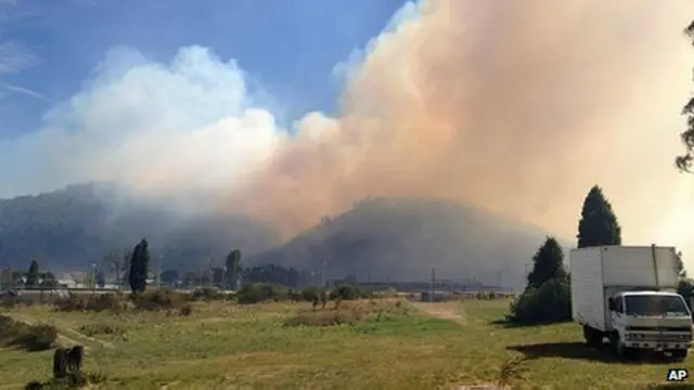 лесные пожары в Австралии