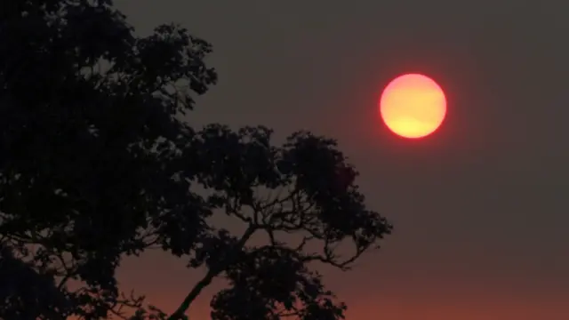 یہ آگ معمول کے برخلاف جلدی لگی ہے کیونکہ ابھی آسٹریلیا میں شدید گرم موسم آنا باقی ہے۔