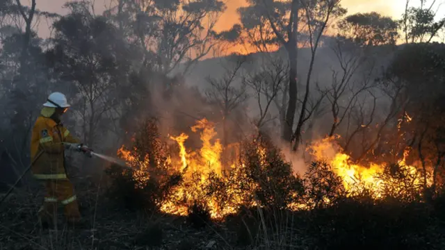 آسٹریلوی ریاست نیو ساؤتھ ویلز کے جنگلات میں آگ کے بھڑکنے کے بعد ریاست میں ہنگامی حالت کا اعلان کر دیا گیا ہے۔