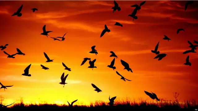 寒风起 深秋气氛日渐浓