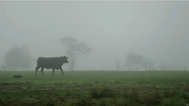 寒风起 深秋气氛日渐浓