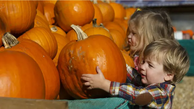 寒风起 深秋气氛日渐浓