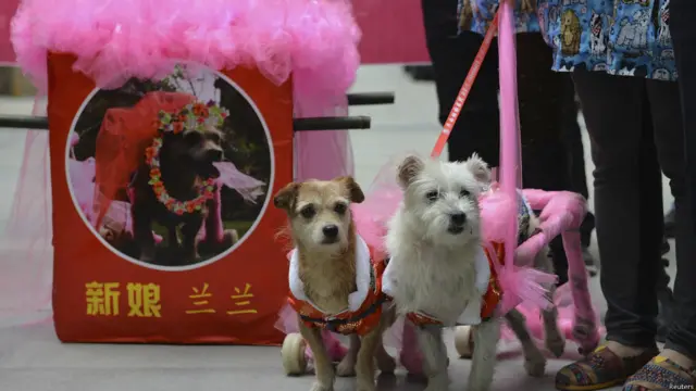 शादी में बंधे दुल्हा-दुल्हन