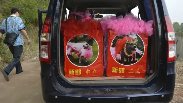 जस्य मैरिड....कुछ ऐसा ही आभास दे रही है ये तस्वीर