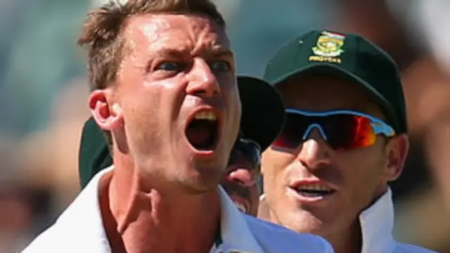 جنوبی افریقہ کے فاسٹ بولر ڈیل سٹین ایک بار پھر بولروں میں اول نمبر پر آئے ہیں