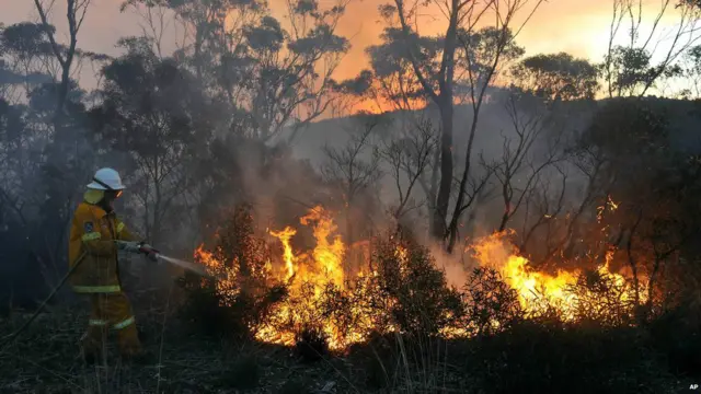 ऑस्ट्रेलिया