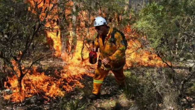 لا يزال أكثر من 60 حريقا مشتعلا منها 13 لم يتمكن عمال الإطفاء من احتوائها.