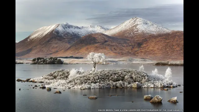 Фото Дейвіда Бріна