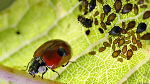 Фото: Владимир Безруков