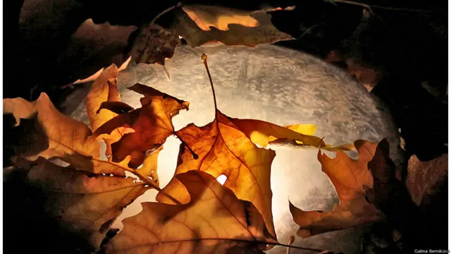 Фото: Галина Берникова