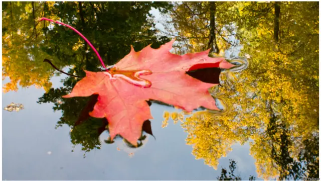 Фото: Юрий Федоров, Чувашия