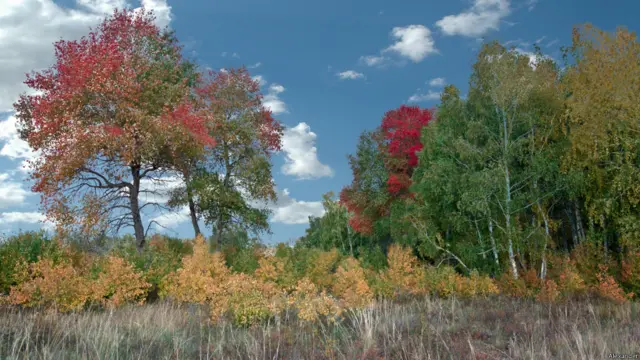 Фото: Александр