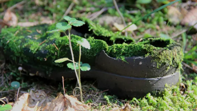 Фото: Ольга (Renegatka)