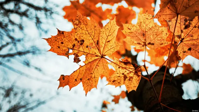 Фото: Дмитрий