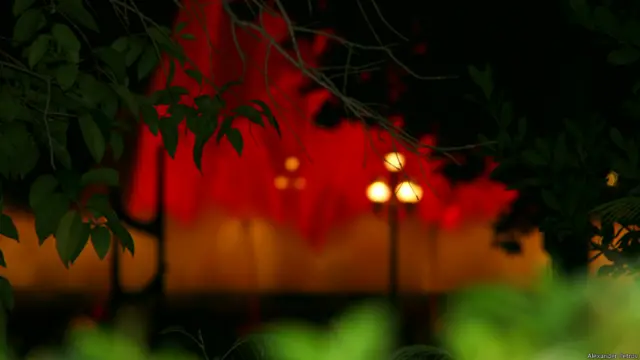 Фото: Александр Петров