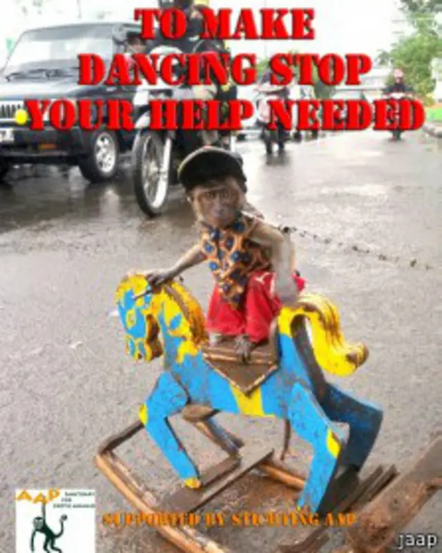 Kampanye terus dilakukan untuk melarang atraksi topeng monyet.