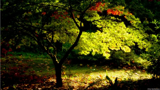 Фото: Ирина Савицкая