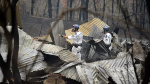 澳大利亚新南威尔士州的丛林大火