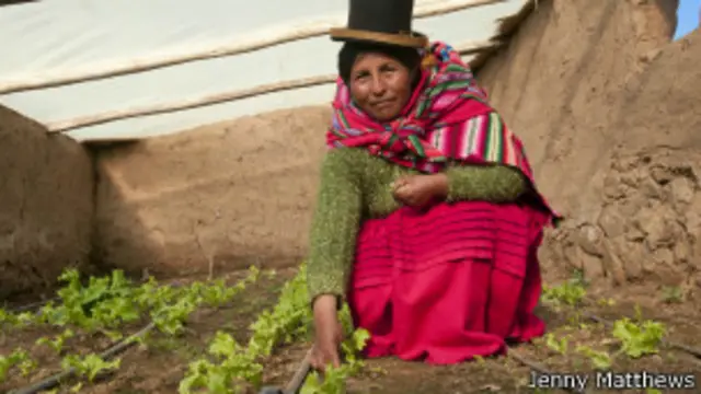 Mujer aymara en invernadero