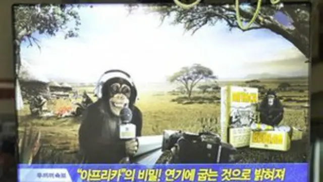 الملصقات ثبتت في أماكن محورية في سول