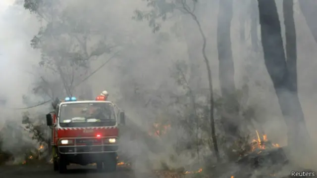 澳大利亚森林大火