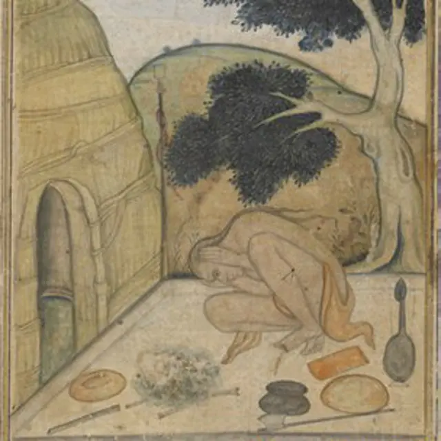 योगी योगमुद्रा में 