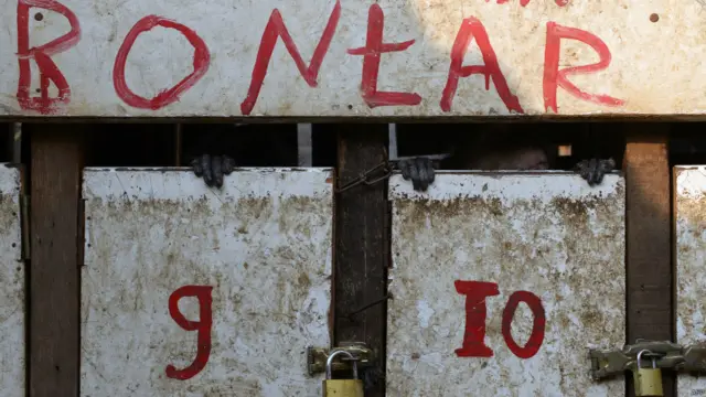 Kandang monyet,Foto: Adek Berry/AFP 