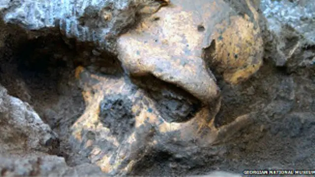 هوموی کشف شده در گرجستان