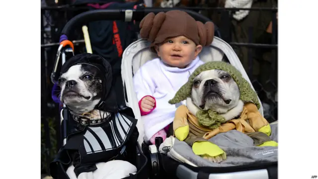 हैलोवीन डॉग परेड,न्यूयॉर्क