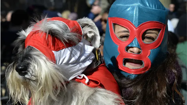 हैलोवीन डॉग परेड,न्यूयॉर्क