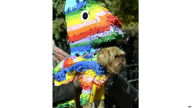 हैलोवीन डॉग परेड,न्यूयॉर्क