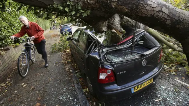 Велосипедист под поваленным деревом