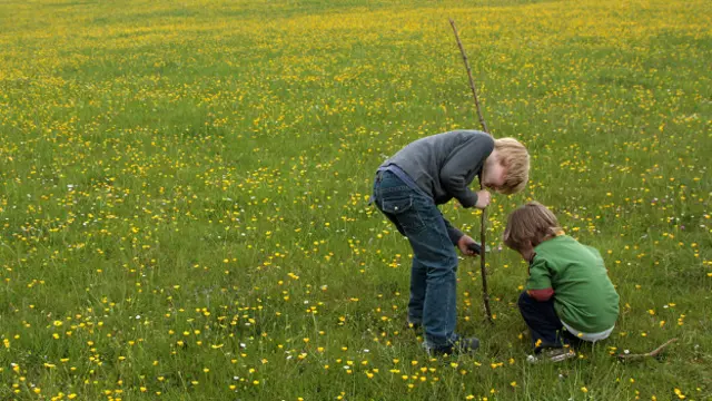 Niños en la naturaleza