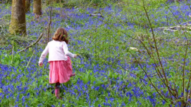 Nena en un bosque