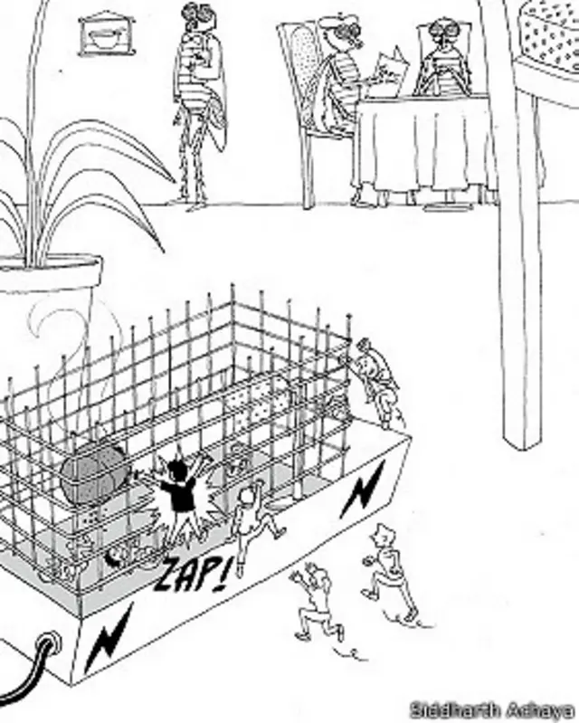 सिद्धार्थ अचाया