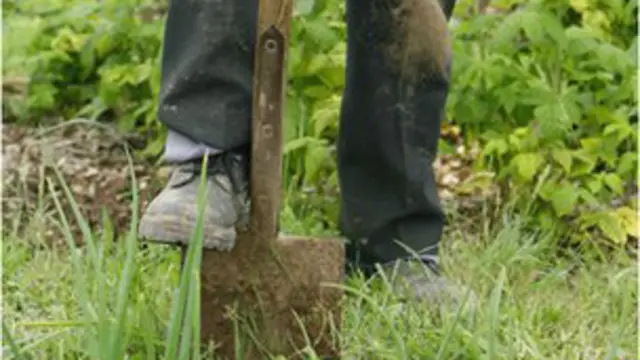 فزيکي فعاليت ٢٧ په سلو کې د زړه د حملې خطر کموي