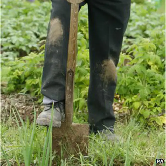 Cадівництво