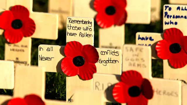 英國，每年11月都舉行紀念陣亡戰士的「罌粟日」。