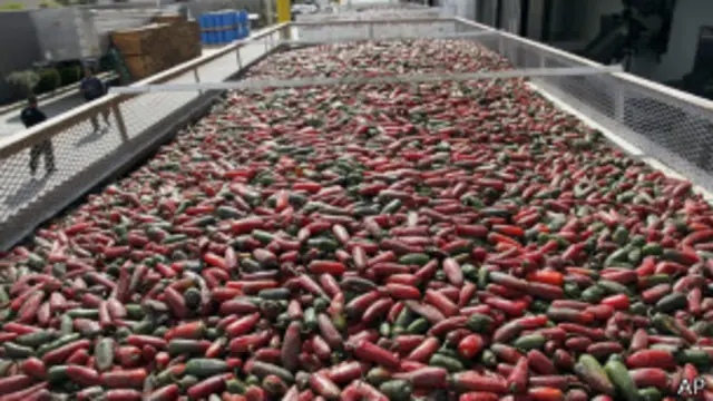 Перец Шрирача