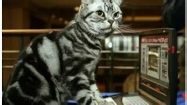 الشركة تقول إن الرائحة غير مضرة بالصحة