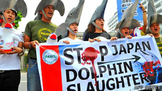 Protestas frente a la emabajada de Japón en Filipinas contra la matanza de delfines por pescadores japoneses