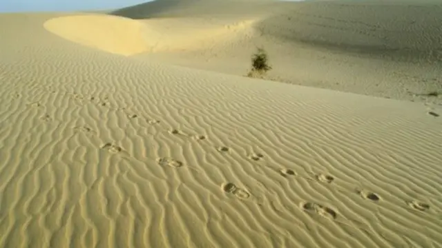 Katta semiz ayollarning fotosuratlari Rus pornosi: Keksa xizmatkor yosh pochtachini sikmoqda.