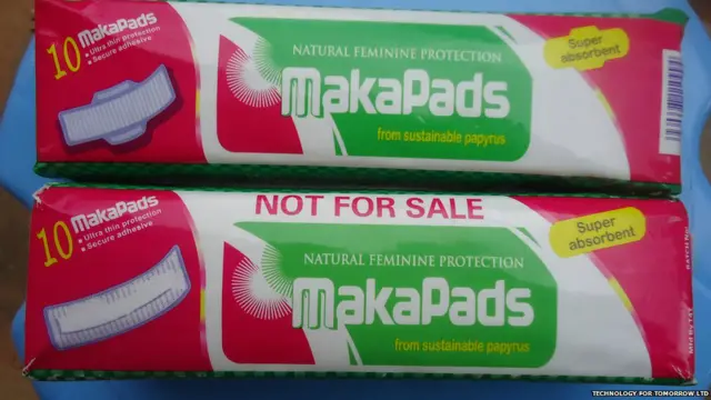 premios a la innovación de Siemens Stiftung