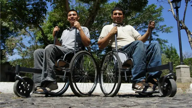 premios a la innovación de Siemens Stiftung