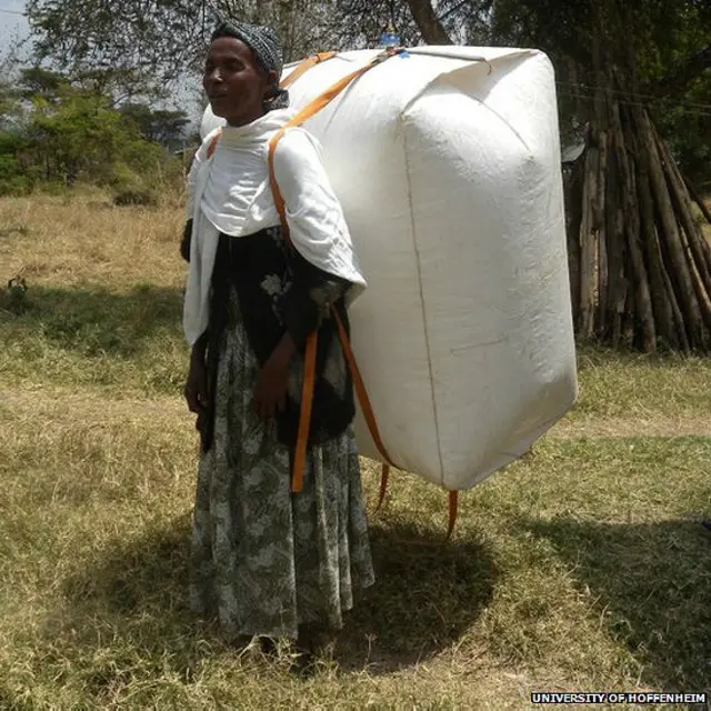 premios a la innovación de Siemens Stiftung