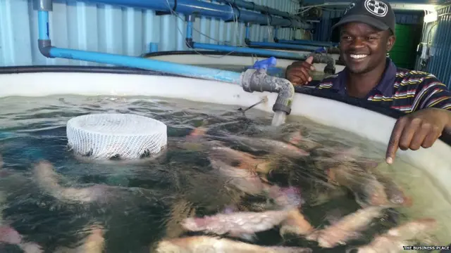 premios a la innovación de Siemens Stiftung