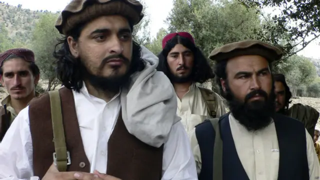 سنہ دو ہزار چار میں جب طالبان کمانڈر بیت اللہ محسود منظر عام پر آئے تو حکیم اللہ محسود ذوالفقار محسود کے نام سے ان کے ترجمان کی حیثیت سے کام کرتے تھے اور بیت اللہ کی ہلاکت کے بعد انہیں تحریکِ طالبان پاکستان کا امیر مقرر کیا گیا تھا۔