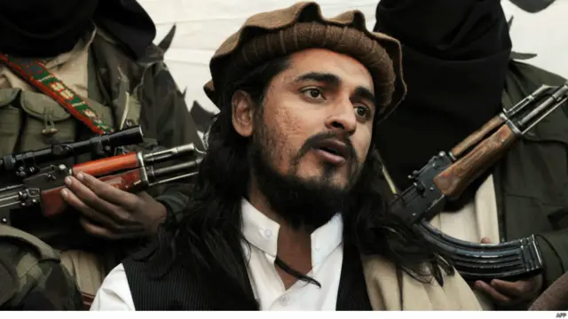 تحریک کے امیر مقرر ہونے سے قبل وہ تین قبائلی ایجنسیوں خیبر، اورکزئی اور کرم ایجنسی کے کمانڈر تھے۔ ان پر الزام تھا کہ وہ خیبر ایجنسی میں نیٹو افواج کو سامان لے جانے والی گاڑیوں پر حملے کرتے رہے ہیں جبکہ کرم ایجنسی میں شیعہ سنی فسادات میں بھی ملوث رہے ہیں۔